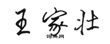 駱恆光王家壯行書個性簽名怎么寫