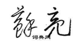 駱恆光蘇亮草書個性簽名怎么寫