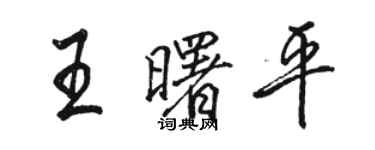 駱恆光王曙平行書個性簽名怎么寫