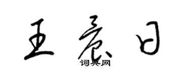 梁錦英王晨日草書個性簽名怎么寫