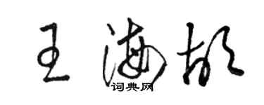 駱恆光王海胡草書個性簽名怎么寫