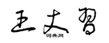 曾慶福王丈習草書個性簽名怎么寫