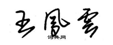 朱錫榮王鳳雲草書個性簽名怎么寫