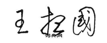 駱恆光王想國草書個性簽名怎么寫