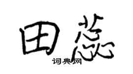 王正良田蕊行書個性簽名怎么寫
