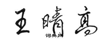 駱恆光王晴高行書個性簽名怎么寫