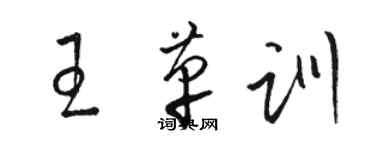 駱恆光王革訓草書個性簽名怎么寫