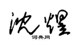 朱錫榮沈煜草書個性簽名怎么寫
