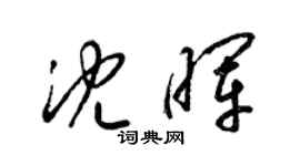 梁錦英沈暉草書個性簽名怎么寫