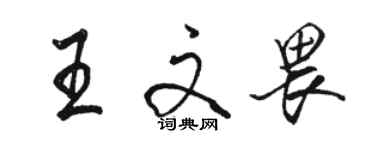 駱恆光王文畏行書個性簽名怎么寫