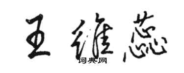 駱恆光王維蕊行書個性簽名怎么寫