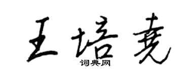 王正良王培堯行書個性簽名怎么寫