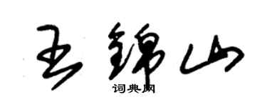 朱錫榮王錦山草書個性簽名怎么寫