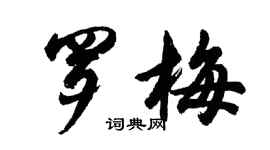 胡問遂羅梅行書個性簽名怎么寫