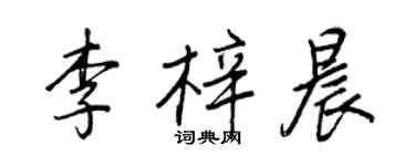 王正良李梓晨行書個性簽名怎么寫