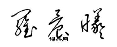 梁錦英羅晨曦草書個性簽名怎么寫