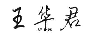 駱恆光王華君行書個性簽名怎么寫