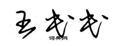 朱錫榮王民民草書個性簽名怎么寫