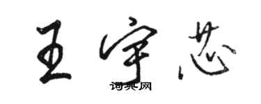 駱恆光王宇芯行書個性簽名怎么寫