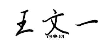 王正良王文一行書個性簽名怎么寫