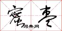 王冬齡蜜棗草書怎么寫