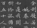 張瑞圖草書書法作品欣賞_張瑞圖草書字帖(第19頁)_書法字典
