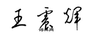 梁錦英王震輝草書個性簽名怎么寫