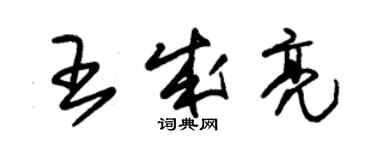 朱錫榮王成亮草書個性簽名怎么寫