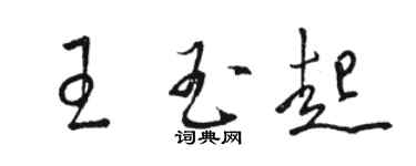 駱恆光王玉起草書個性簽名怎么寫