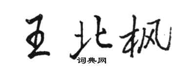 駱恆光王北楓行書個性簽名怎么寫