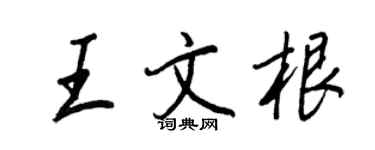 王正良王文根行書個性簽名怎么寫