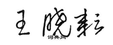 駱恆光王曉耘草書個性簽名怎么寫