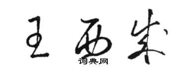 駱恆光王西成草書個性簽名怎么寫