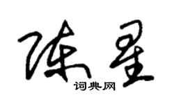朱錫榮陳星草書個性簽名怎么寫