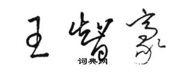 駱恆光王智豪草書個性簽名怎么寫