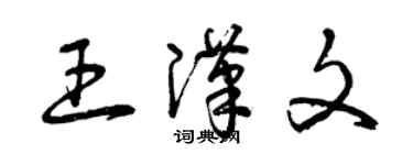 曾慶福王漢文草書個性簽名怎么寫