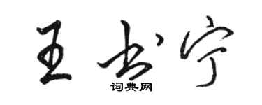 駱恆光王書寧行書個性簽名怎么寫
