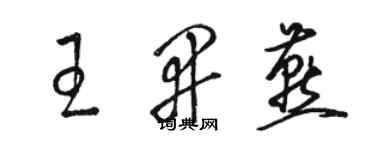 駱恆光王開燕草書個性簽名怎么寫