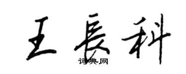 王正良王長科行書個性簽名怎么寫