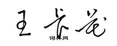 駱恆光王卡花草書個性簽名怎么寫