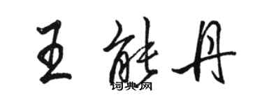 駱恆光王能丹行書個性簽名怎么寫