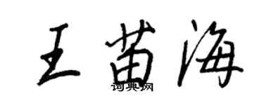 王正良王苗海行書個性簽名怎么寫