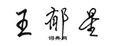 駱恆光王郁星行書個性簽名怎么寫