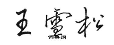 駱恆光王雪松行書個性簽名怎么寫