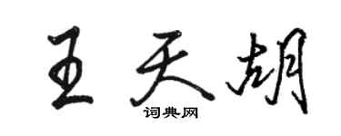 駱恆光王天胡行書個性簽名怎么寫
