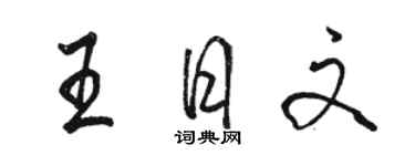 駱恆光王日文行書個性簽名怎么寫