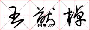 朱錫榮王猷棹草書怎么寫