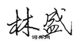 駱恆光林盛行書個性簽名怎么寫