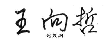 駱恆光王向哲行書個性簽名怎么寫