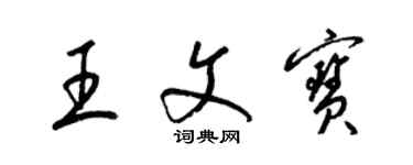 梁錦英王文寶草書個性簽名怎么寫